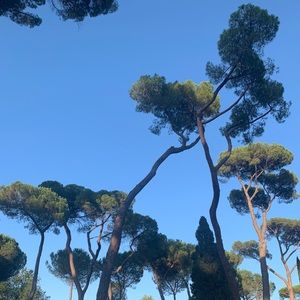 Meet your Posher, Isabella